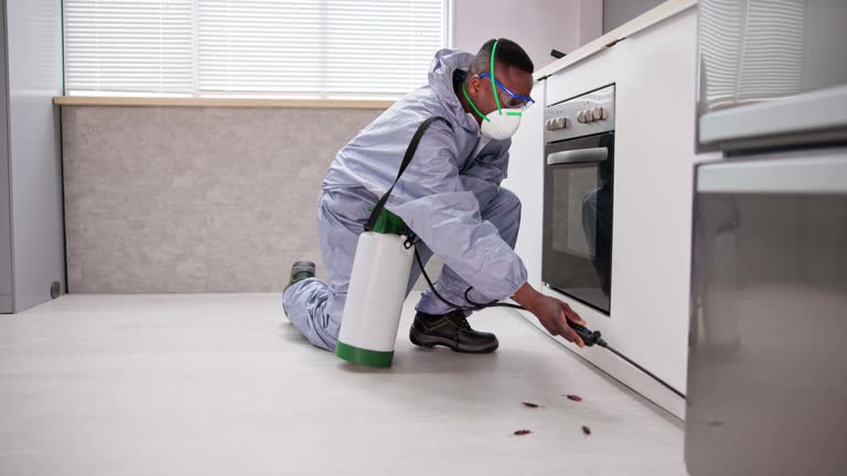 Real Estate Pest Inspections in Friendswood, TX